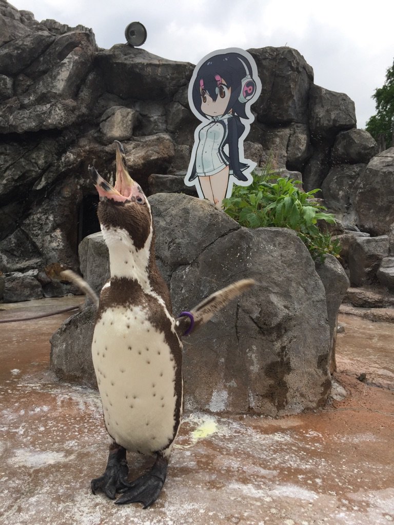 Ci lascia Grapekun, il pinguino otaku AnimeClick